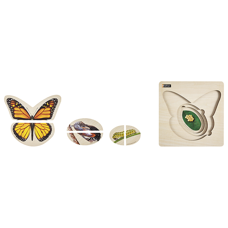 Layer Life Cycle Puzzle - A Butterfly