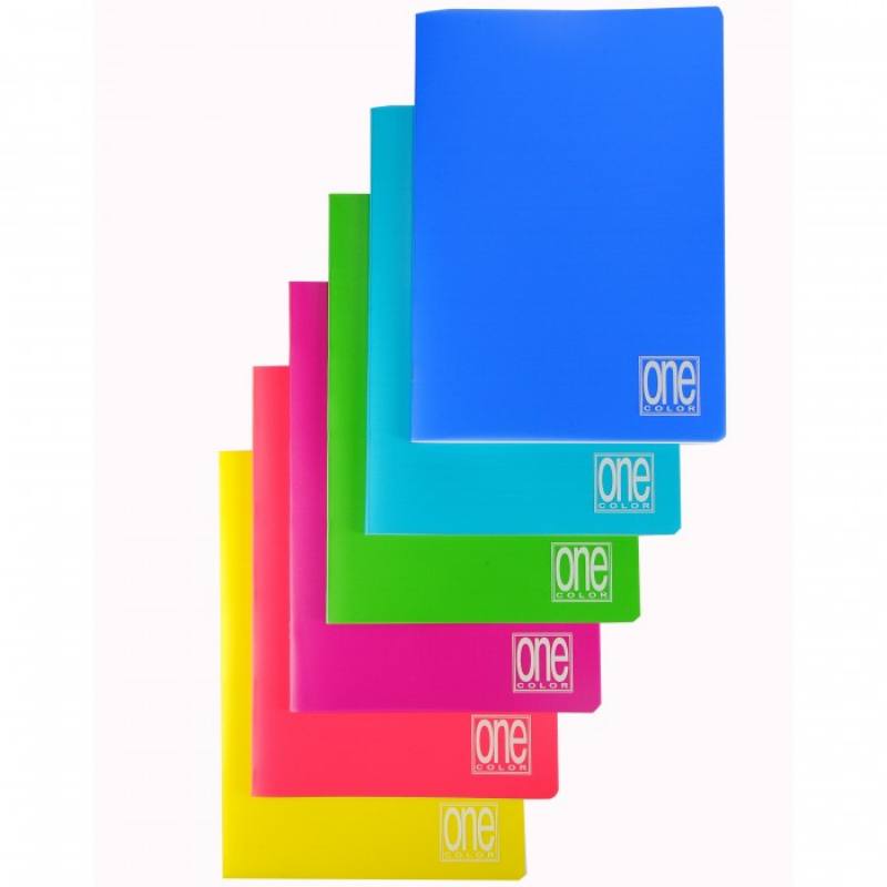 QUADERNO MAXI PLASTIFICATO  RIGO DI 1 E 2 ELEM.