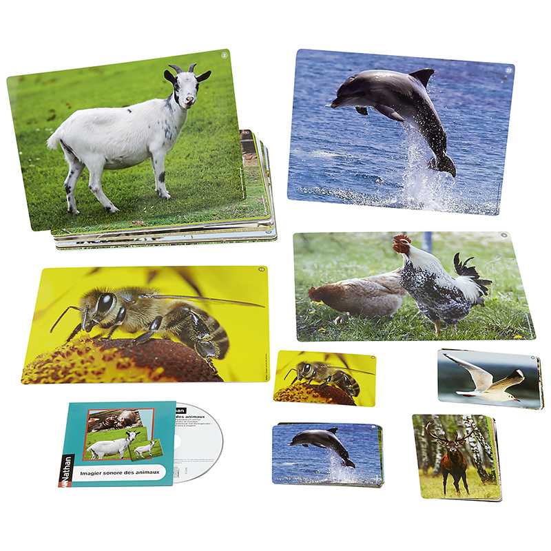 Audio Flashcards - Animals  