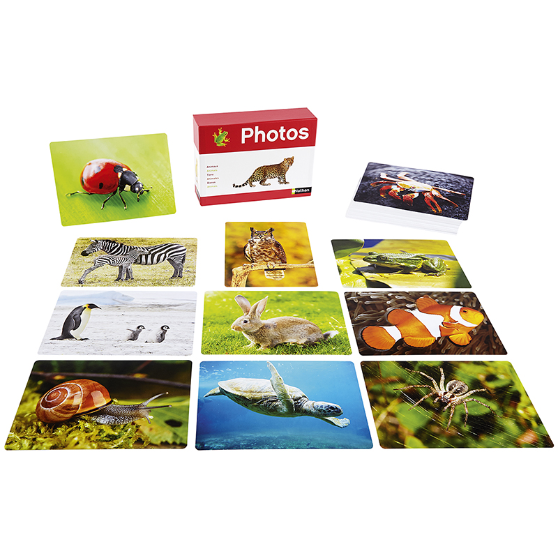 Photo Box - Animals  