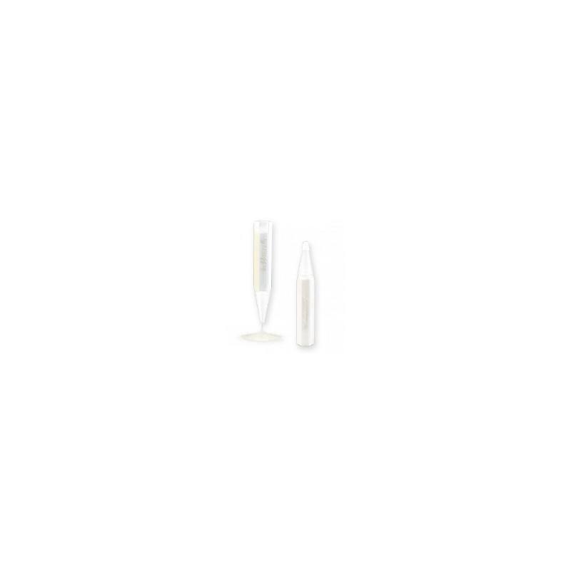 SET 15 PENNE VUOTE DA 50GR