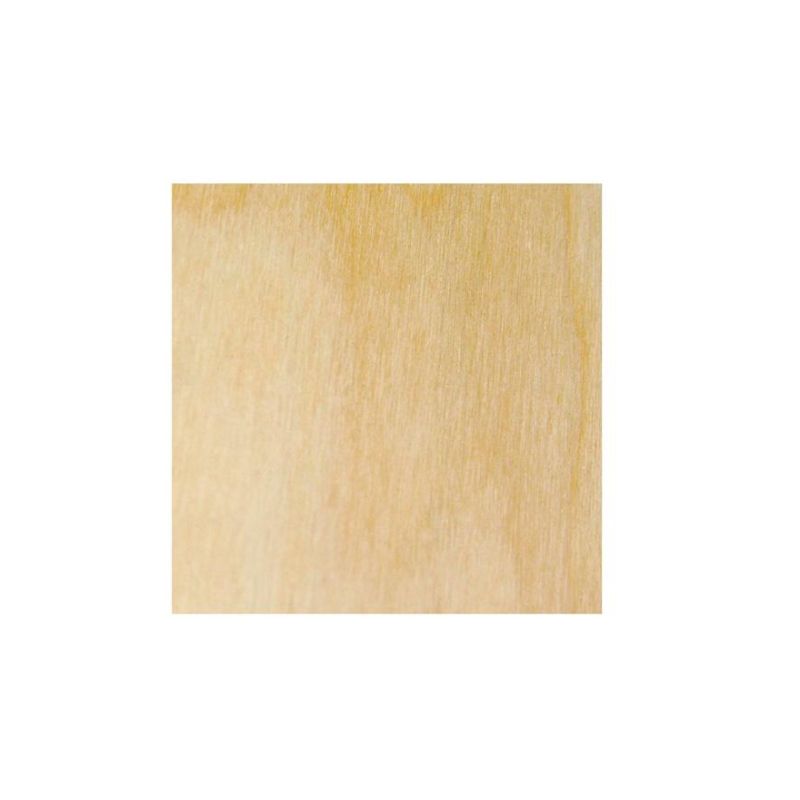 LEGNO DA DECORARE TAVOLETTA DI BETULLA QUADRO CM. 20X20