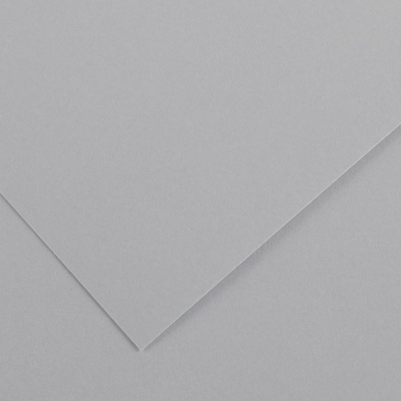 CARTONCINO BRISTOL GR. 200 70X100 BIANCO