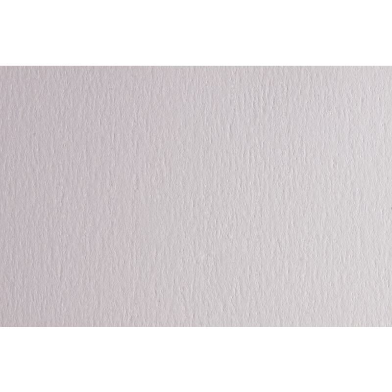 CARTONCINO  MONORUVIDO GR. 220 70X100 BIANCO