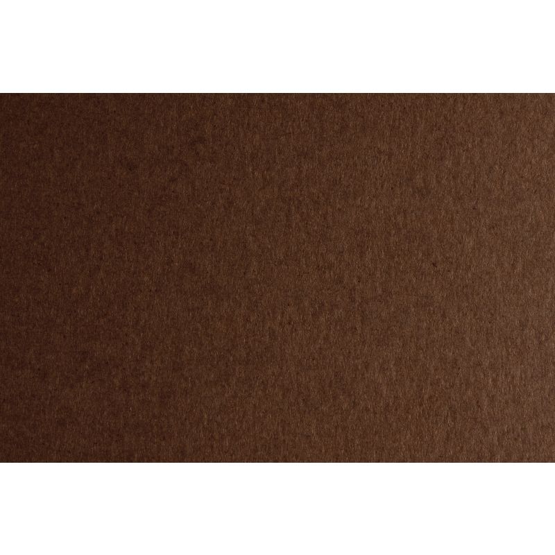 CARTONCINO  MONORUVIDO GR. 220 70X100 MARRONE