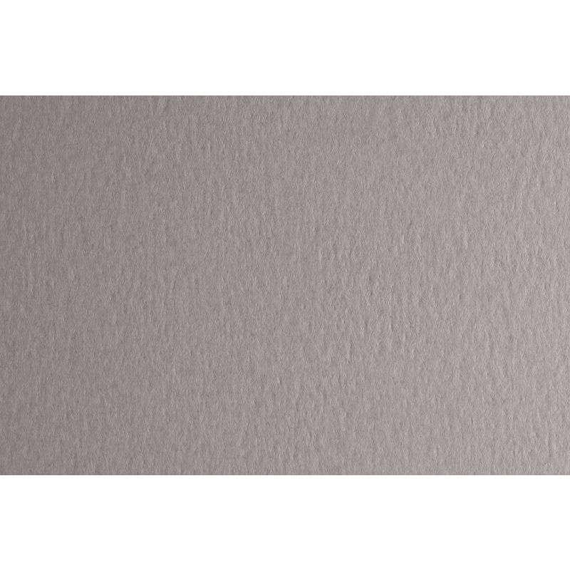 CARTONCINO  MONORUVIDO GR. 220 70X100 PERLA