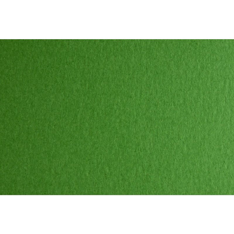 CARTONCINO  MONORUVIDO GR. 220 70X100 VERDE