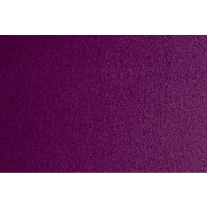 CARTONCINO  MONORUVIDO GR. 220 70X100 VIOLA