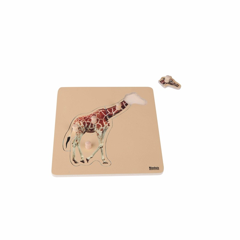 INCASTRI 1-3 ANNI: GIRAFFA