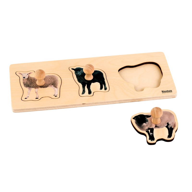 INCASTRI 1-3 ANNI: 3 PECORE